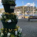 dartmouth in bloom